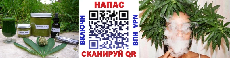 купить наркотики сайты  Боровск  Cannafood конопля 