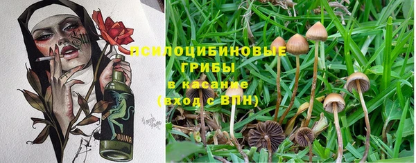 синтетический гашиш Балахна