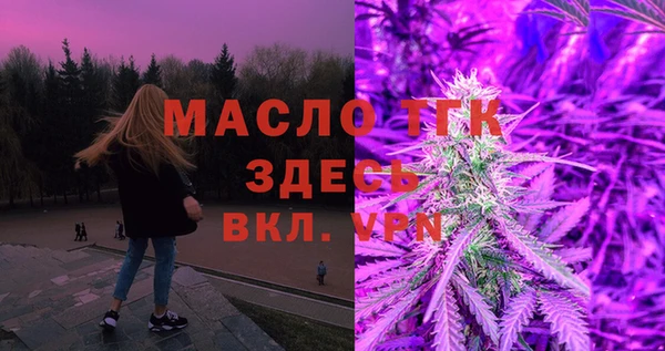 индика Баксан