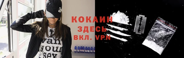 индика Баксан