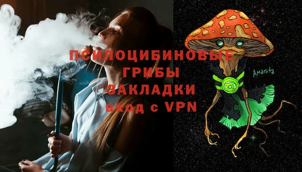 прущие грибы Аркадак
