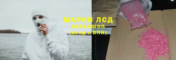 прущие грибы Аркадак