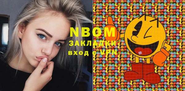 индика Баксан