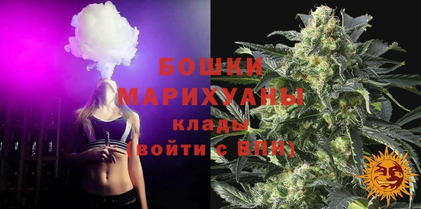 индика Баксан