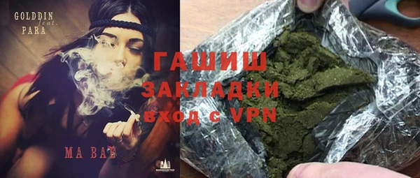 прущие грибы Аркадак