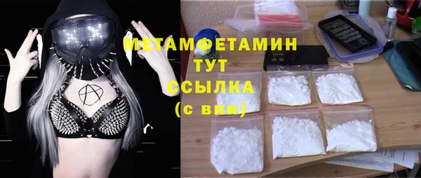 прущие грибы Аркадак